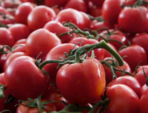 Seeking Monopoly, Florida Tomato Exchange At It Again with Off-Base Claims